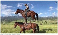 精确模仿浮力和刚度的动态等等正在影片左